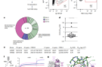 科技助力抗疫：微流控与流式细胞术联用快速发现抗SARS-CoV-2单克隆抗体
