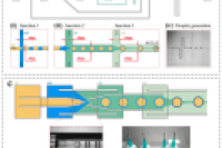 华南农业大学蒋卓团队：基于微流控技术的海藻酸钠微胶囊的制备及评价