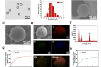 宁波大学彭兆祥团队&华中农业大学黄成龙团队：水凝胶微球在骨关节炎治疗中用于干细胞募集和诱导定向分化