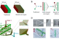 南方科技大学蒋兴宇教授和王斗副教授团队：基于双层芯片的分支汇聚结构——一种增强微流控混合的通用方法
