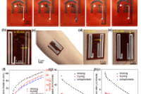 集成纸基微流控技术的分子印迹可穿戴传感器，用于实时汗液生物标志物分析