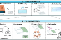 手指驱动式自动给样毛细管微流控芯片用于等温扩增核酸检测
