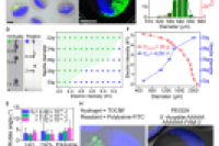 清华大学林金明教授&北京工商大学林玲教授：开放气溶胶微流控技术实现水凝胶微粒内外部正交功能化