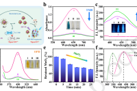 中国药科大学李曹龙教授&王飞副教授团队：基于高通量微流控平台的病原菌药敏双模态检测