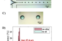 微流控外部凝胶化制备单分散海藻酸盐微球：细胞递送系统的创新解决方案