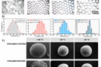 东南大学张天柱教授团队：微环境响应性水凝胶平台精准控释负载干细胞的多孔微球，用于腹壁修复