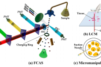 一图读懂综述：基于微流控的单细胞或液滴操纵方法及应用