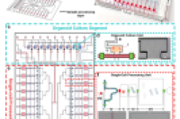 北京协和医院梁乃新&北京理工大学魏泽文：基于微流控芯片的自动化系统，用于患者来源类器官的单细胞测序