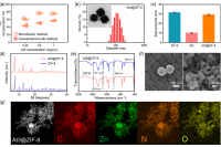 常州大学招秀伯教授团队：微流控制备载有抗癌肽的ZIF-8纳米颗粒用于治疗乳腺癌