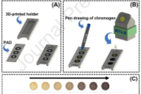 一图读懂综述：微流控纸基分析设备用于检测食品掺假的最新进展
