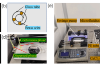 上海大学马立团队：微流控技术制备pH敏感型海藻酸盐水凝胶微囊，用于肠道靶向给药