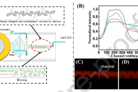 武汉纺织大学洪少力&武汉大学口腔医院余自力：基于微流控平台的单层荧光计数，实现肿瘤细胞外囊泡的超灵敏检测
