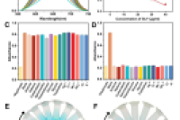 重庆大学侯长军&杨眉：基于新型三元MOF纳米酶的比色/微流控纸基分析装置，用于痕量草甘膦检测