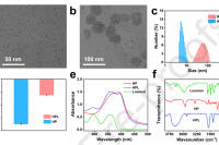 济南大学魏琴/高中锋/马洪敏团队：微流控制备多级结构纳米颗粒，用于高效、灵敏的化学发光免疫测定