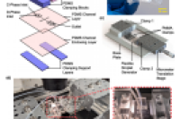 突破传统限制：柔性可拉伸微流控装置用于精准调控滴液特性