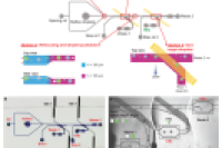 《Nature Communications》：NOVAsort技术如何让微流体实验更精准、更高效？