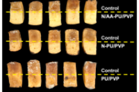 浙江大学吴迪教授团队：微流控吹纺制备多功能纤维膜用于鲜切苹果保鲜
