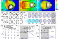 探索液滴包裹下的微胶囊变形：从基础研究到实际应用