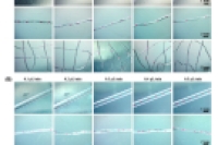 中国医科大学孙小婷、王小红等人：pH响应性微球纤维的微流控制备及其药物控制释放特性