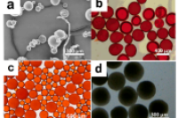 南京工业大学曾昌凤等人：微流控装置辅助合成ZIF-8/PVA微球及其控释性能