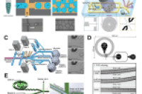 一图读懂综述：单细胞液滴微流控技术的生物医学应用进展