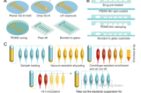 宝洁新加坡创新中心刘吉泉&中科院青岛能源所孙鲁阳、徐健等人：离心微流体系统加速细菌耐药性进化研究
