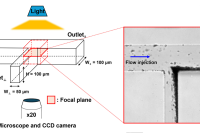 使用3D卷积神经网络对微流体系统中的孔堵塞进行早期预测