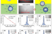 山东大学程永强团队：基于多孔板的多功能平台，用于在线制备海藻酸盐水凝胶微球和原位3D细胞培养