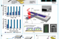 一图读懂综述：基于生物传感器的微流控平台在临床病原菌检测中的应用