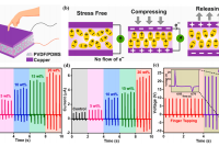 利用流动操纵设计电活性相，通过微流体技术改善尺寸可调PVDF微球的压电响应