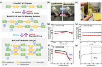 清华大学程易教授团队：共封装亲疏水活性物质的热响应相变油凝胶微胶囊