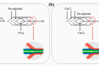 扬州大学尹彬沣&吴闯等人：流速对微流控芯片中层流的影响