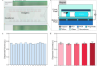 南京理工大学邓盛元&万莹等人：使用数字微流控进行基于微珠的DNA合成和测序，用于集成数据存储