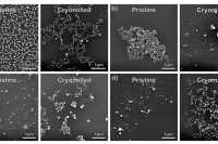 环境监测新利器：受限冲击射流混合技术制备荧光纳米塑料颗粒