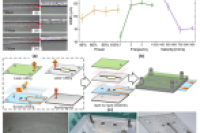北京理工大学李朝将、刘国栋&浙江省医学电子与数字健康实验室张先超：柔性微流体结构集成电化学传感器用于人体汗液分析