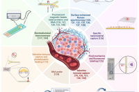 一图读懂综述：微流体生物传感器检测体液中的生物标志物，用于早期癌症诊断