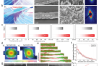 安徽农业大学叶冬冬团队《AFM》：通过非对称微流控技术实现可定制的加捻纳米流体纤维素纤维，用于自供电尿液监测