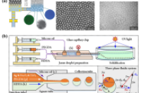 一图读懂综述：微流控制备的智能微胶囊在定制递送和控制释放中的应用