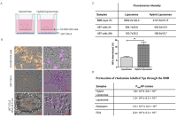 微流控技术制备仿生杂化脂质体，用于胶质母细胞瘤靶向治疗