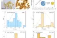 北京交通大学胡远渡团队：液滴微流控结合外部交联制备球形磁性海藻酸铁微凝胶及其pH依赖性Fe3+释放行为研究