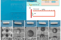四川大学张兴栋院士团队：陶瓷微桥微流控芯片揭秘生物活性陶瓷的骨诱导机制