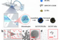 华南师范大学水玲玲教授课题组：液滴微流控技术调节Si/CNT复合微球的尺寸和成分，实现高性能锂离子电池
