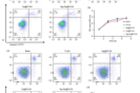 天津环境医学与作业医学研究所王新兴&天津医科大学口腔医院陈刚：镁镓共负载微球通过促进成骨和抗菌作用加速骨修复