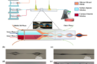 中国计量大学包福兵&侯立凯：一步微流控制备具有纺锤结结构的仿生微纤维，用于雾气采集
