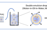 基于微流控技术的可注射微胶囊，实现siRNA的长效、局部与可控递送