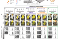 突破微流控制造瓶颈：固定化防污润滑涂层提升RNA-脂质纳米颗粒生产稳定性和可扩展性