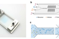 基于氟化弹性体微流控芯片一步合成尺寸可控的聚合物纳米凝胶