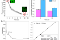 大连大学附属中山医院于炜婷&大连大学刘袖洞：海藻酸盐-壳聚糖水凝胶微球的设计与应用——打造肝细胞培养的理想载体
