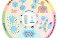 一图读懂综述：微流控合成刺激响应性水凝胶微粒及其应用