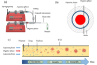 微流控辅助制备胰岛素负载PLGA纳米颗粒与双乳液溶剂蒸发法的比较研究